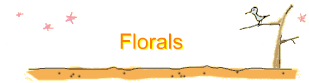 Florals